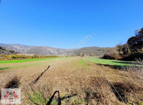 Gökova Çıtlıkta Satılık Tarla