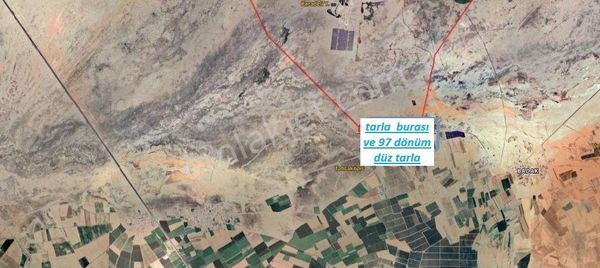 Bor Kızılcada 97 Dönüm Satılık Tarla