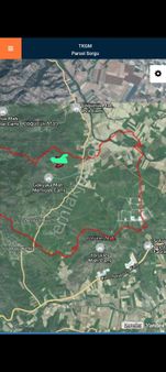 Aydın Çine Gökyaka Memişlerde 40 Dönüm Zeytinli Satılık Tarla