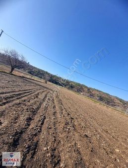 Ödemiş Artıcak Mahallesi Kısık Subatan Yaylası Satılık Arazi