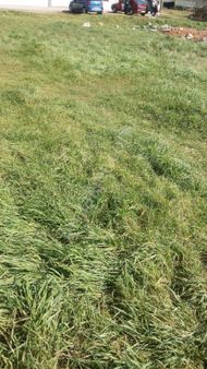 Çatalca Muratbeyde 17000m Satılık Yatırımlık Düşeş Arsa No:40