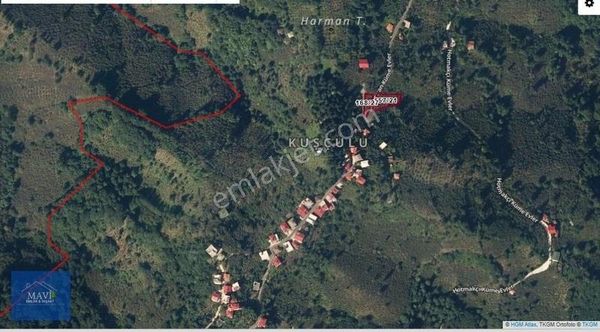 Giresun Görele Kuşçuluda Satılık Fındık Bahçesi