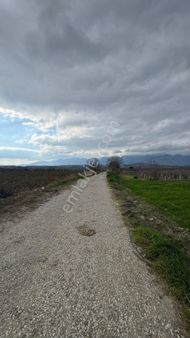 Beyaz Gayrımenkulden Karaoglanlı Mh De Asfalt Kenarı 6,300 M2 Tarla