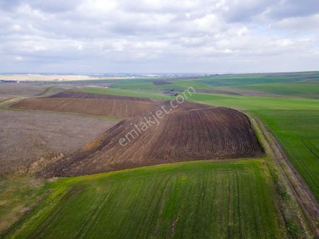 Tekirdağ Ergene Esenler'de 5.499 M² Yolu Mevcut Osb Ye Yakın