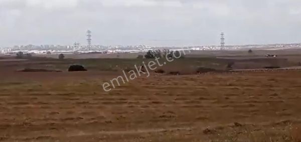 Tekirdağ Çorlu Şahpaz'da Fabrikalar Bölgesinde 3,500m2 Tektapu Tarla
