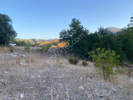 Muğla Dalaman Karacaağaç Köyünde Satılık Tarla