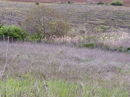 Delux'den Topağaç Mah.'de Full Manzaralı Villa Arsası