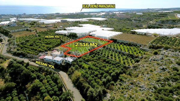 Erdemli Kocahasanlı Ful Deniz Manzaralı 2.5 Dönüm Bahçe