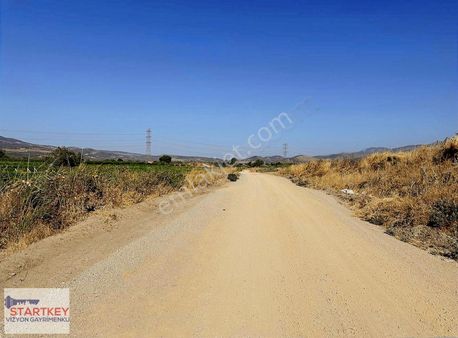 Satılık Üzüm Bağı