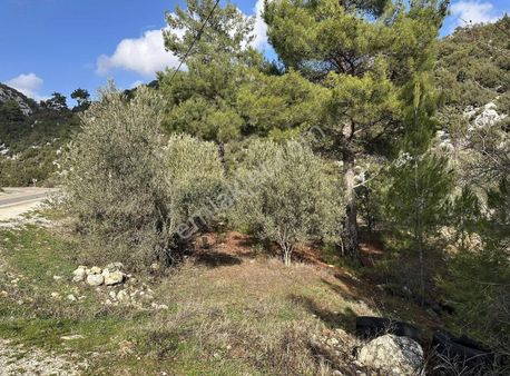 Silifke Keşlitürmenli Mah. Satılık Arsa