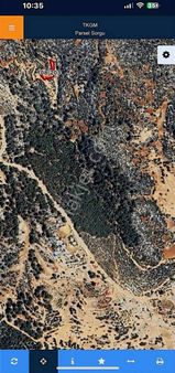 1677 M2 Tarla Çaltıbozkır Koruklu Mevkisi