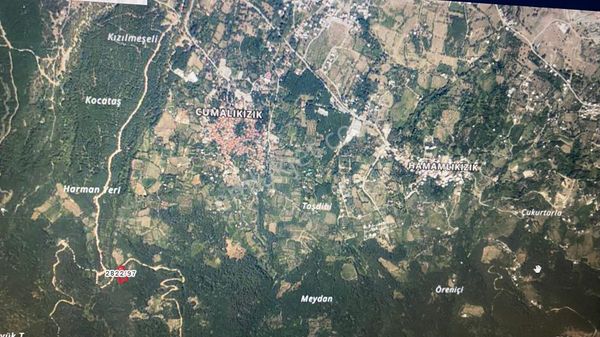 Canyapıdan Yıldırım Cumalıkızık Da Satılık Bahçe