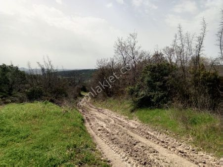 Canyapıdan Mudanya Hançerlide Satılık Arsa