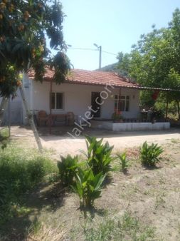 Aydın Söke Karacahayit Mahallesinde Satılık Köy Evi