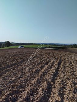 Turunçlu Köy Yolu Üzerinde 12207 M2 Arazimiz Satılıktır