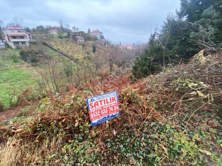 Trabzon Beşikdüzünde Satılık Arazi