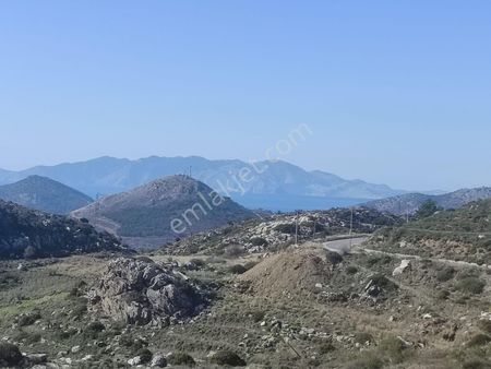 Ebrar&can'dan Yeşilova 7388 Metrekare