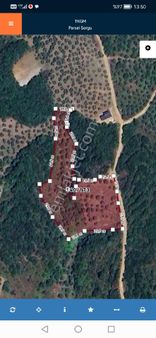 Diyalog Baki Gayrimenkulden Satılık Zeytinlik