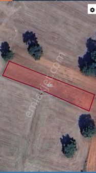 Kütahya Çavdarhisar Çamkoy 1260m2 Arazi Düz Olup Tarım Uygundur