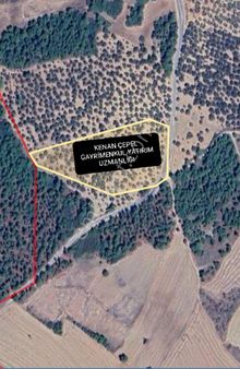 Çanakkale Ezine Mahmudiye Köyü 12 Dönüm 663 M2 Zeytinlik 100 Adet Zeytin Ağaç Var Yol Var