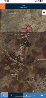 Ömerli Merkez Yeni Mahhallesi Satılık 53 Dönüm Bağ Liman'da