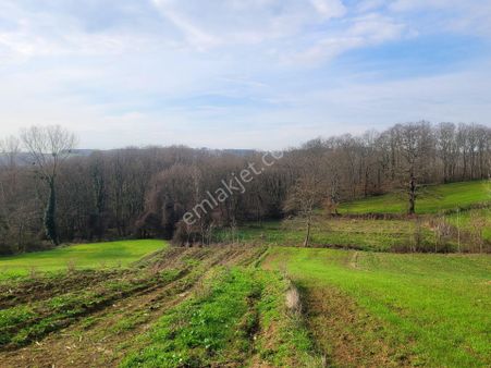 Bu Fiyata Bu Metraj Fırsat Yolsuz