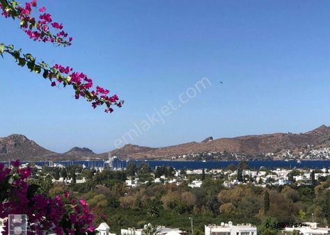Yalıkavak Merkezde Satılık Daire Yabancıdan Eşyalı Uygun Ev Her Yere Düz Ayak Yakın Kaçmaz Konumda