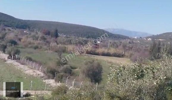 Urla Özbek 9.150m2 Köyiçi İmar 250m2 Konut Yapabilceğiniz Tarla