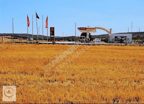 Edirne -keşan Barağı Köyü Satılık&yatırımlık Fırsat Tarla