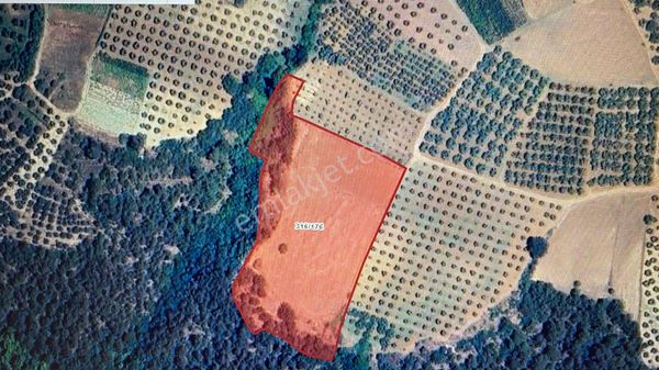 Canyapıdan Kestel Çataltepe De Satılık Arsa