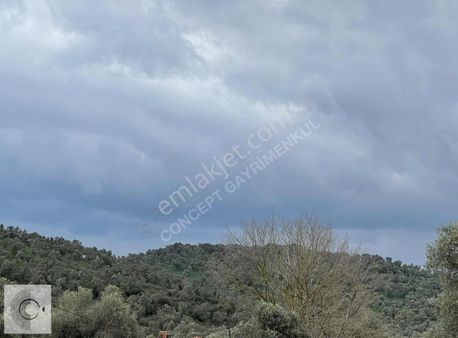 Bodrum Mumcular Tepecik (karaova) Merkezi Satılık Arsa