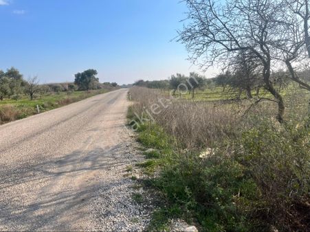 Paşaköy Sarıçam Arası Asvalt Dibinde 10400m2 Tek Tapu Satılık Tarla