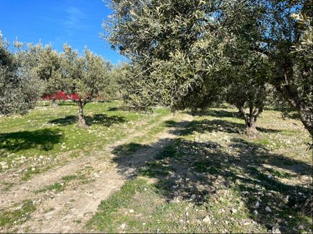 Sarıçam Mükemmel Manzaralı 700m2 Satılık İmarlı Arsa