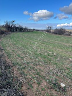 Kırklareli Kofçaz Ahlatlı 4575 M2 Tarla