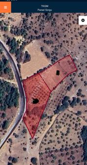 Manisa Yunusemre Davutlar Mahallesinde Satılık Zeytinlik