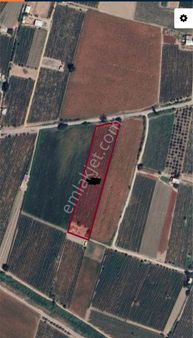 Manisa Şehzadeler Yeniharmandalı Mahallesinde Satılık Bağ