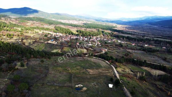 Çanakkale Bayramiç Tongurlu Köyünde Satılık Tarla