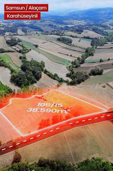 Samsun Verimli Bafra Ovasında Satılık 38595 M2 Verimli Arazi