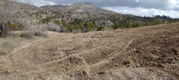 Çameli Cumaalanında Asfalta 150 Mt Harika Konumda 2 Tapu