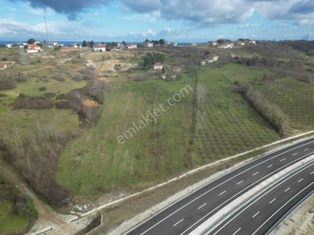 Sakarya Karasu'da Karadeniz Sahil Yoluna Cephe Satılık Arazi