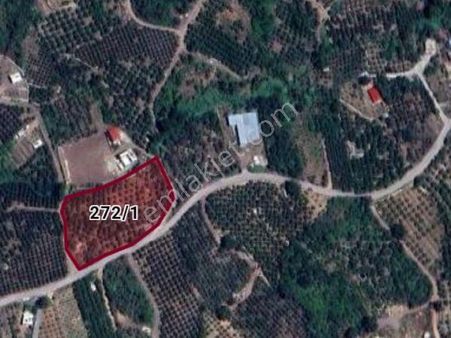 Acar Group İnşaa'tan Yenişehir Değirmençay'da Satılık 4.587 M2 Portakal Bahçesi