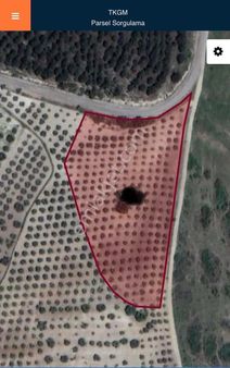 Manisa Saruhanlı Hacımusa Mahallesinde Satılık Zeytinlik