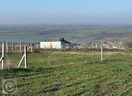 Tarla Değil Net 260 Metre İmarlı İfrazlı Acil Satılık Son Arsa