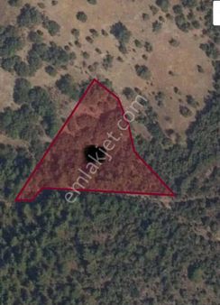 Manisa Yunusemre Küçükbelen Mahallesinde Satılık Tarla