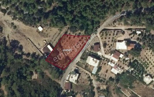 Çağlarca Feslikan Yaylasında 581 M2 İmarlı Arsa