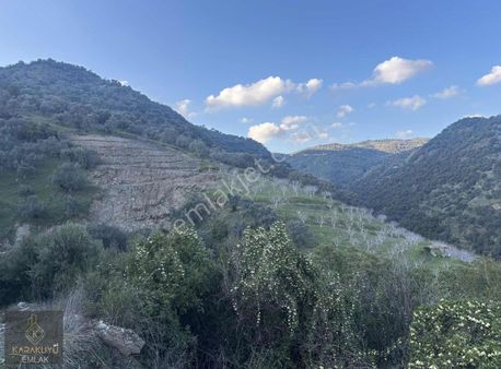 Demırhan Da İncirlik