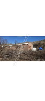 Akif'ten Kalecikte Mandıra Ve Arazili Satılık 4400 M2 Çiftlik