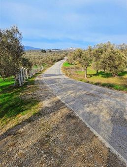 Yol Asfalt Cepeli Yaz Kış Akan Cay Köye 1km Düz Alan Zeytinlik
