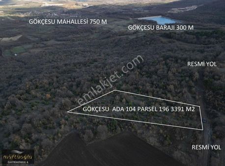 Bursa Yenişehir Gökçesu Mahallesi'nde Satılık Tarla