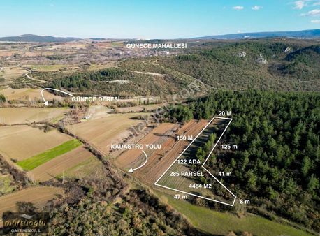 Bursa Yenişehir Günece Mahallesin'de Satılık Tarla